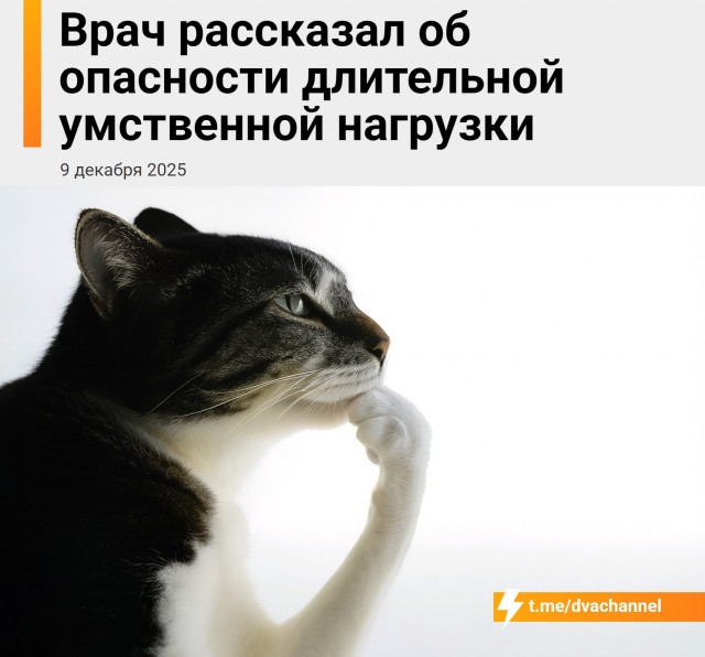 Много думать — опасно для здоровья