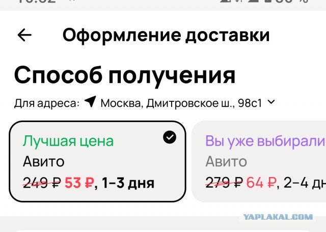Тупорылое авито