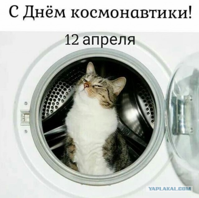 С Праздником, друзья! С Днём космонавтики!