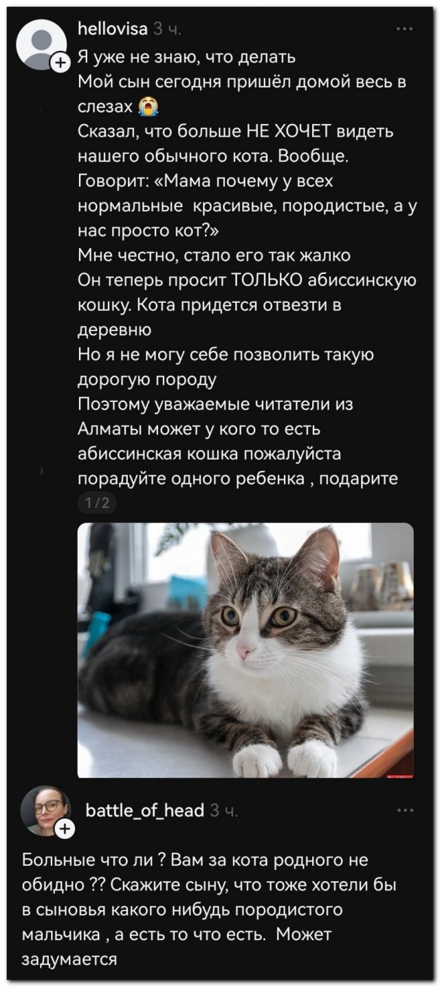 Недостаточно породистый⁠