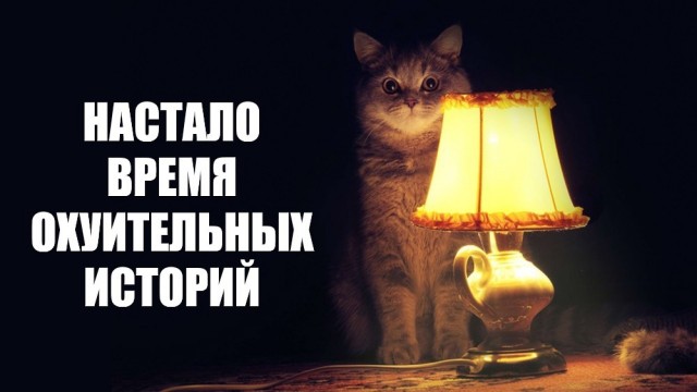 Они ждут сигнала ...