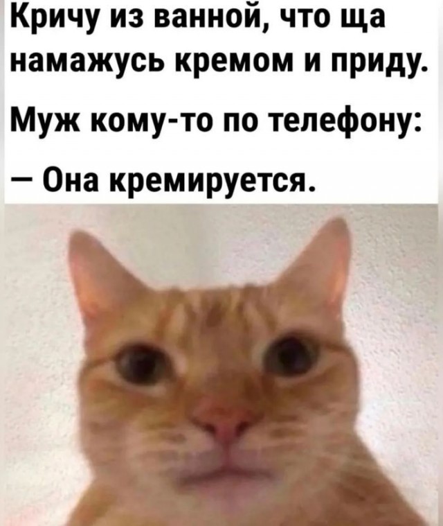 Картинки для деградации 231 (разной степени свежести)