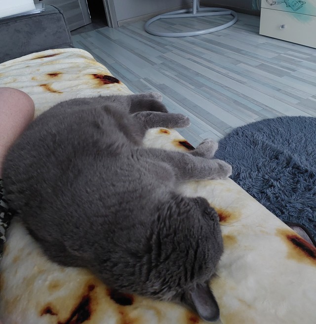 Когда не разрешили сделать "Кусь"
