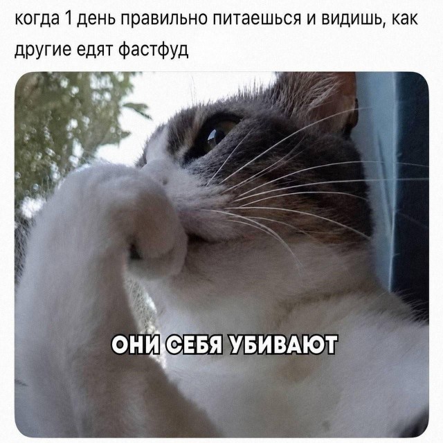 Картинки для деградации 257 (разной степени свежести)