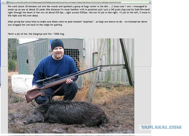 Пневматические винтовки