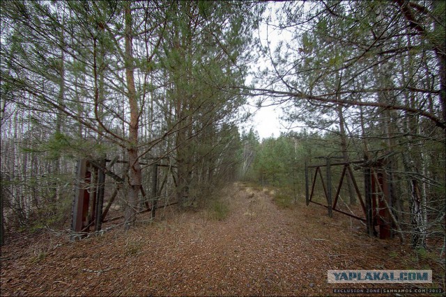 Нелегальный поход в чернобыльскую зону отчуждения.