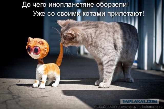 Без паники земляне