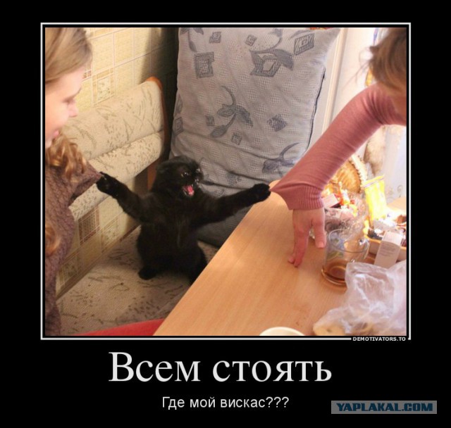 Моя подборка веселенькой мути