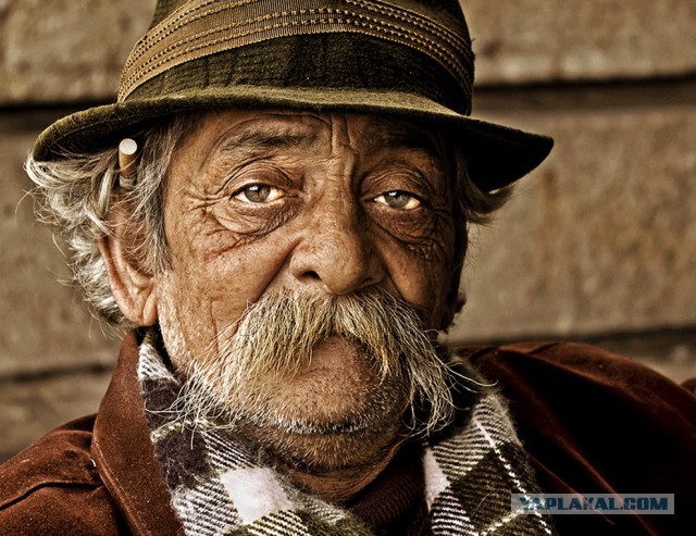 27 фотографий