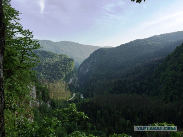Абхазия, пансионат "Самшитовая роща"