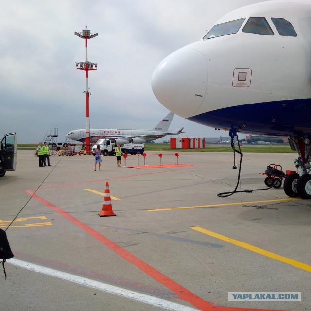 Прилет новенького Airbus 321 во Внуково