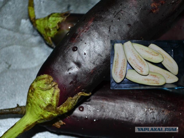 По следам прославленных кулинаров, День повара – 20 октября.