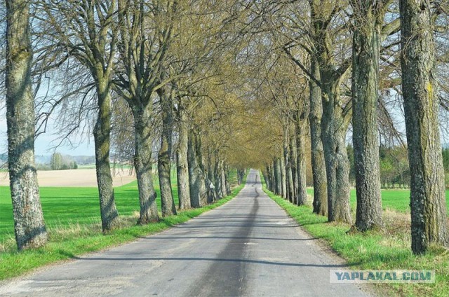Укладка  асфальта  в  Липецке  по новым технологиям