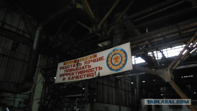 А давайте по фотке, кто как сейчас работает