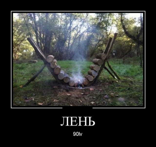 Картинки и приколы из сети