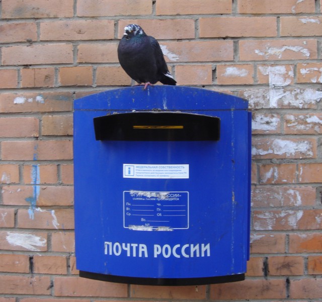 Подборка интересных и веселых картинок