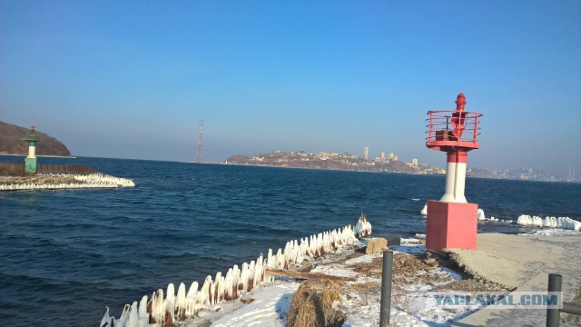Каникулы во Владивостоке