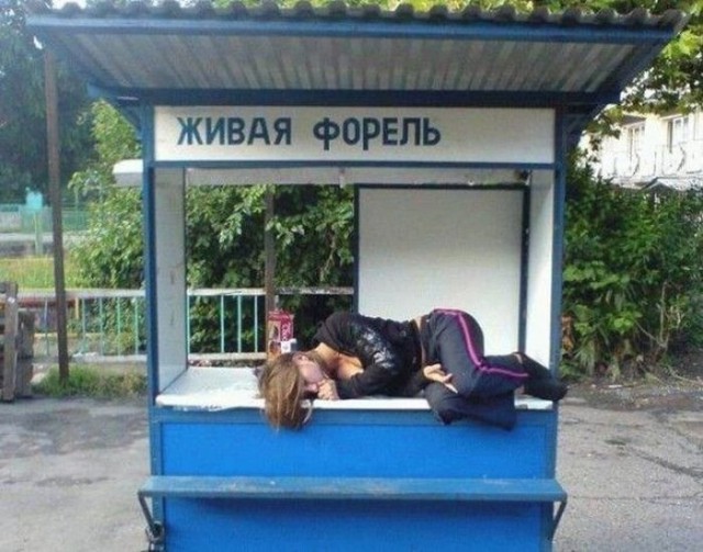 Картинки для поднятия настроения