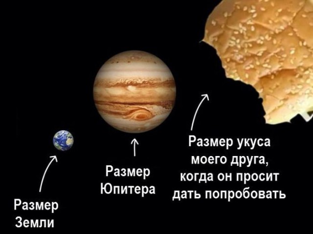 Подборка интересных и веселых картинок