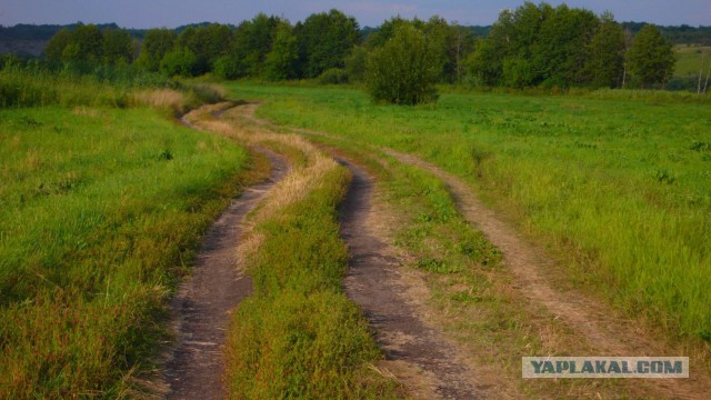 В шаговой доступности...