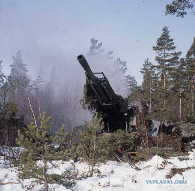Шведская армия времен холодной войны