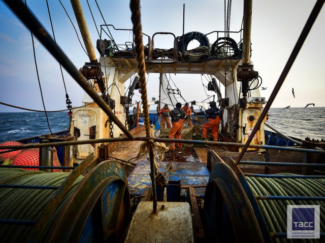 Рыбаки в Японском море: Прибрежный промысловый лов минтая в заливе Петра Великого в Приморском крае