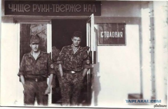 "Жуткие отравления" продолжаются! Два человека заявили о плохом самочувствии после посещения ресторана в Солсбери