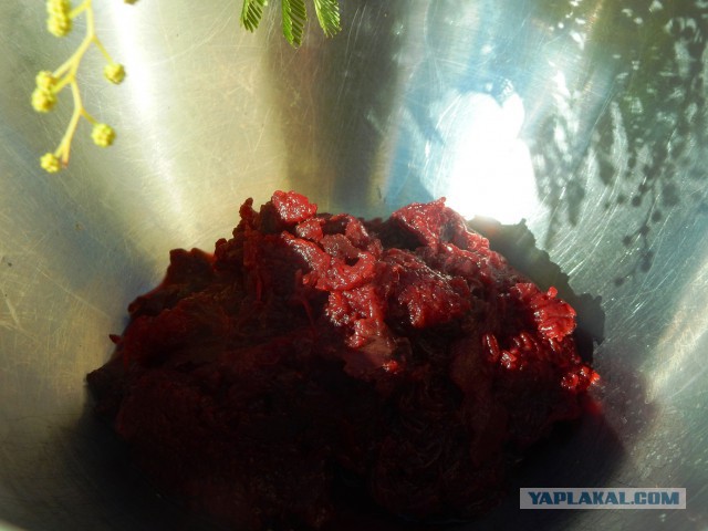 Селедка под шубой - 2019