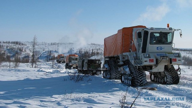 "Тром-8" и не только. Как зарождаются отрасли