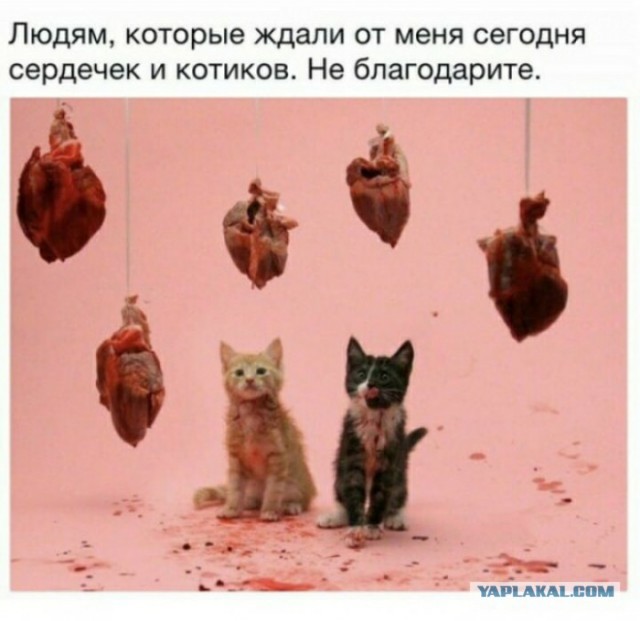 Бредзона 14.02.2020