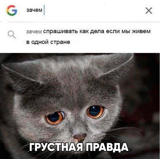Юмор на любителя