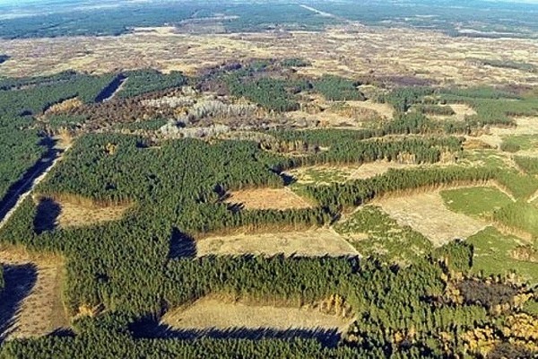 Воздух чуть позднее: Госдума намерена пресечь нецелевое использование дров в российских деревнях