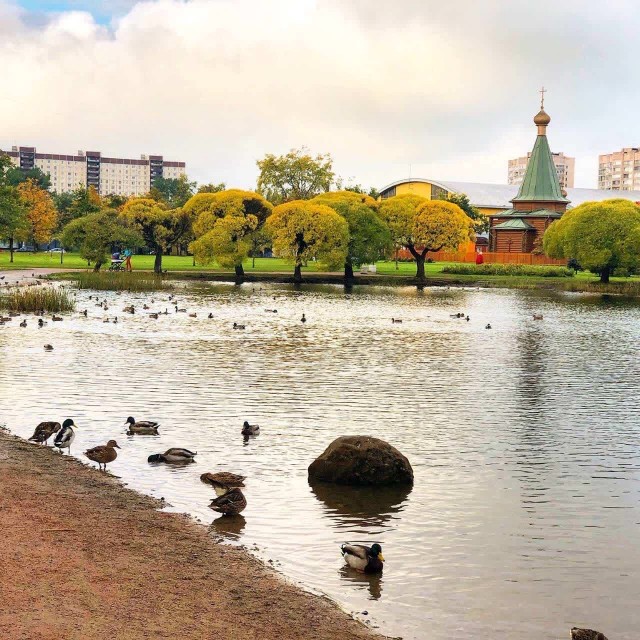 Санкт-Петербург на фотках с телефона