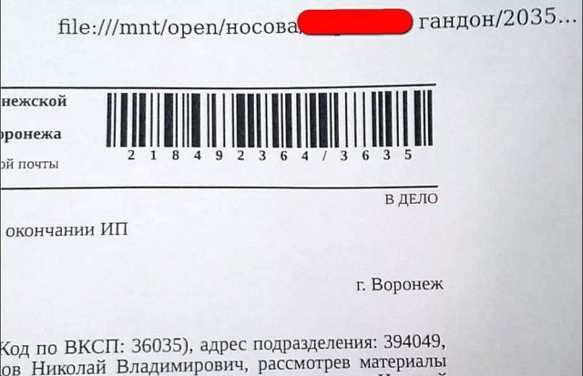 Житель Воронежа получил документ с оскорблением от ФССП