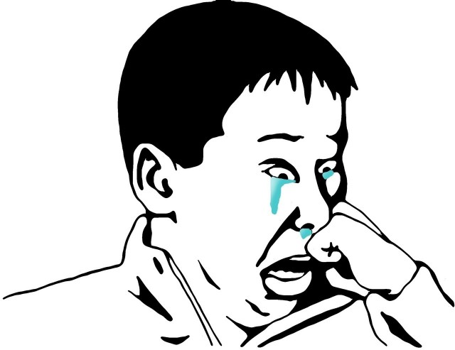 Олени за рулем