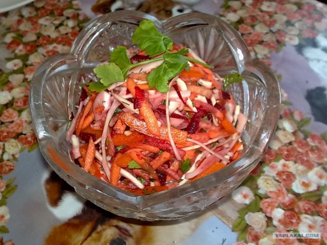 Праздничный обед для чайников от Дженибека&Бомжыка