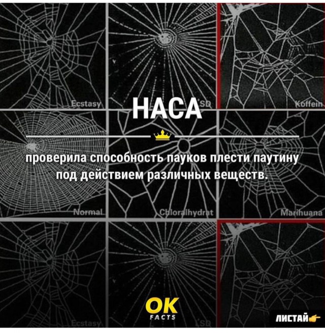15 картинок сарказма