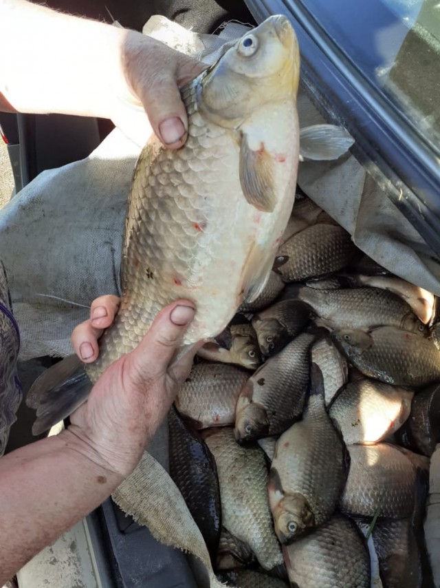 Карась пошел!