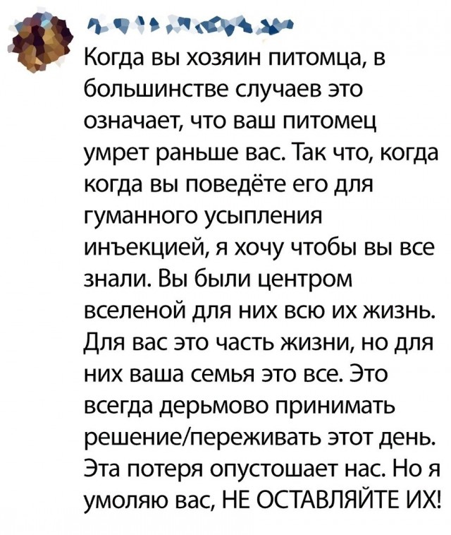 Ветеринар о самом главном