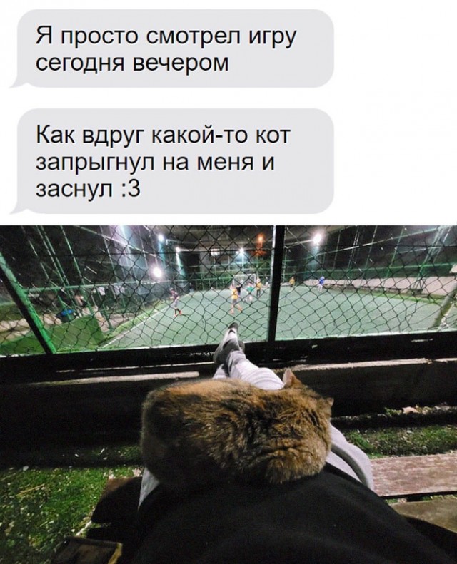 Картинки и мемы для настроения - 22