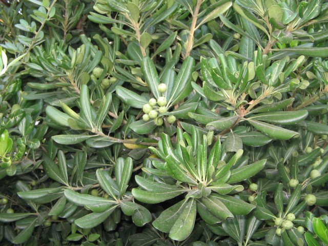 Отдых в Черногории (сентябрь 2012)