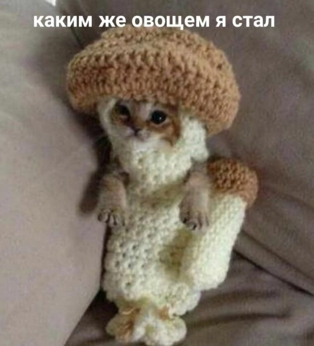 Юмор в картинках и без