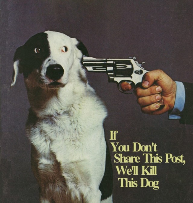 50 лет назад. Январь 1973 года