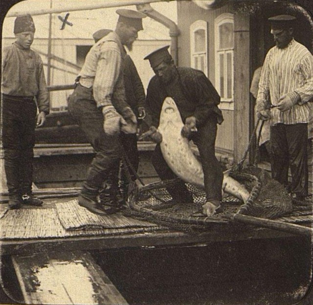 Снимки Захария Захариевича Виноградова. 1910-е. На Волге