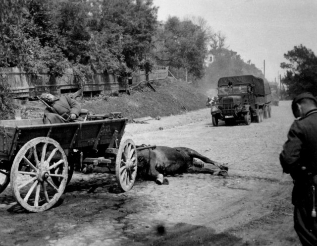22 июня 1941. Это война!