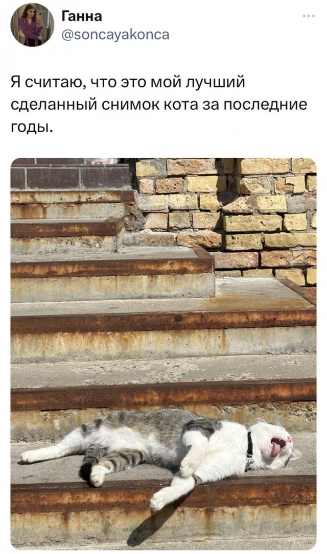 Лето. Пятница. Картинко