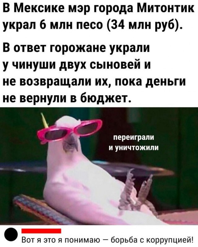Нуштош 11.09.2023
