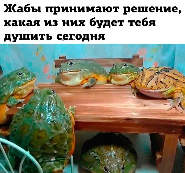 Картинок пост 1.11.2023