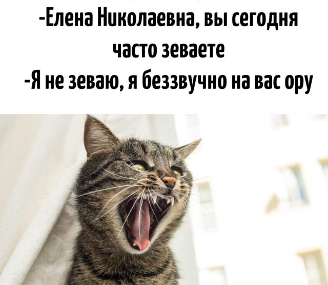 Юмор в картинках и без
