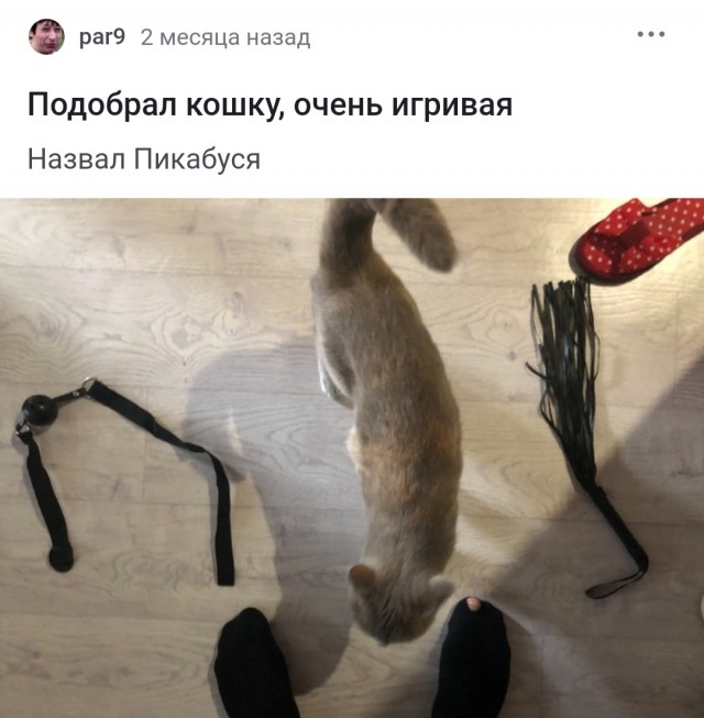 Кожа